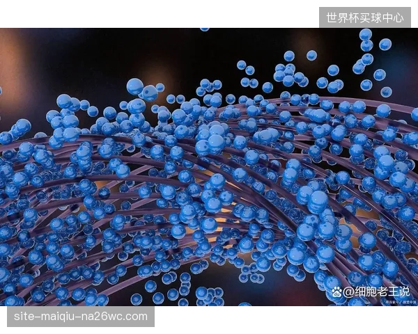 当干细胞治疗未能达到预期甚至产生副作用时，法律上应如何界定运动员、俱乐部与医疗机构的责任？